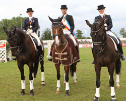 Medaillengewinner der S-Klasse Dressur: v.l. Inga Lass, Ronald Lüders, Angelika Elsholz. Medaillengewinner der S-Klasse Dressur: v.l. Inga Lass, Ronald Lüders, Angelika Elsholz.
